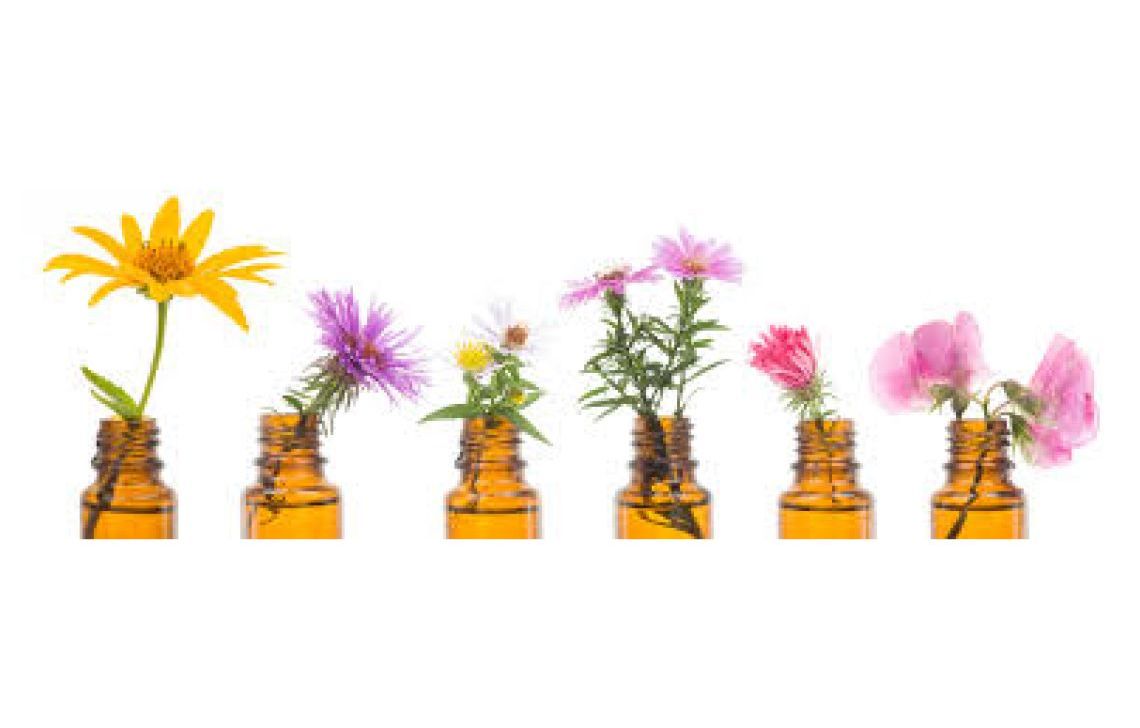 Les Fleurs de Bach : définition