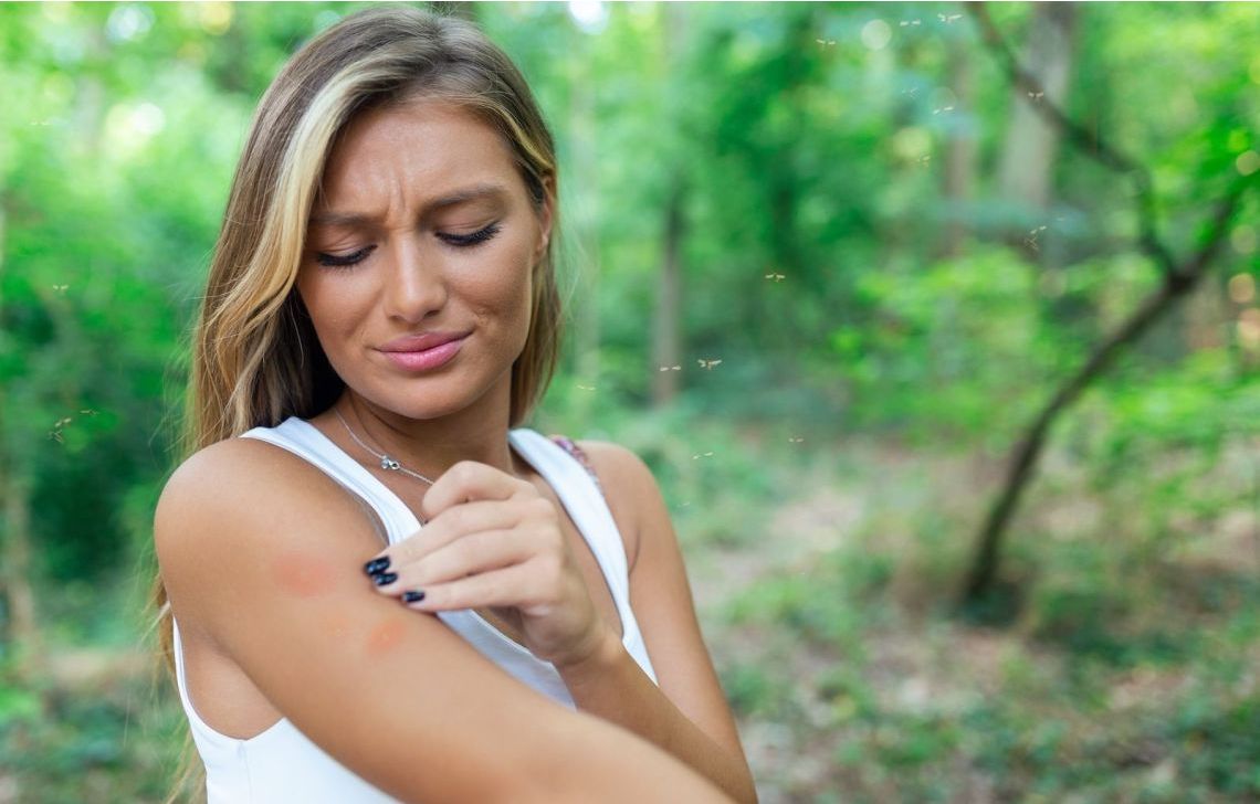Protection contre les moustiques