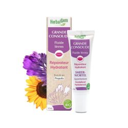 Herbalgem - Baume A Levres Consoude Bio - 10ml