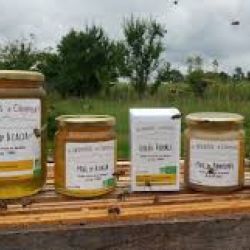 Miel Toutes Fleurs BIO 1Kg