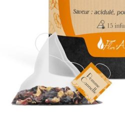 Cailleau - Infusette Pomme Cannelle - BIO - bte de 16
