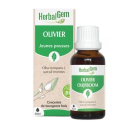Herbalgem - Gemmo Olivier 30Ml
