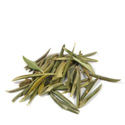 Cailleau - Olivier ( feuille coupée )