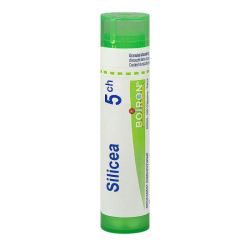 Silicea 5Ch Tg Boi