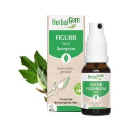 Herbalgem - Figuier Bg Spray - 15 Ml