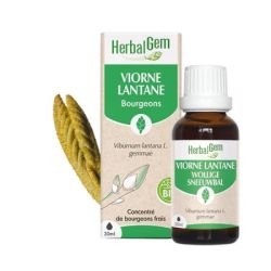 Herbalgem - Viorne Macerat Bio Fl C-Gtt/3