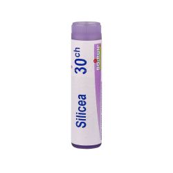 Silicea 30Ch Do Gl Boi
