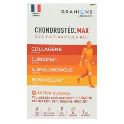 Granions - Chondrosteo Max Cpr60
