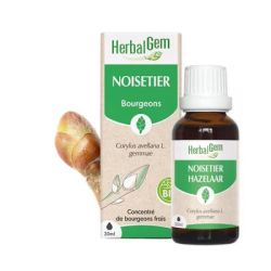 Herbalgem -Gemmo Noisetier Mg B Fl30Ml1