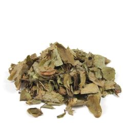 Cailleau - Myrtille ( feuille)