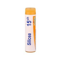 Silicea 15Ch Do Gl Boi
