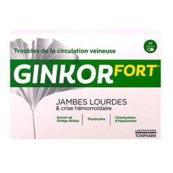 Ginkor Fort Bte 60