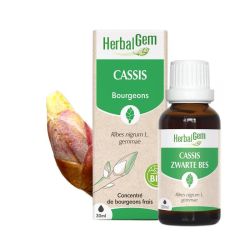 Herbalgem - Cassis Bg Spray - 15Ml