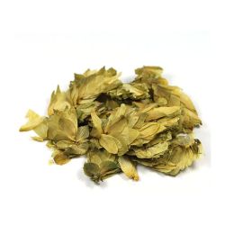 Cailleau - Houblon (cône entier)