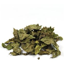 Cailleau - Menthe verte ou Nanah ( feuille coupée )