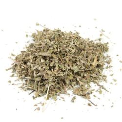 Cailleau - Damiana ( plante coupée)