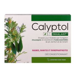 Calyptol Inhalant S Inh B/10/5Ml