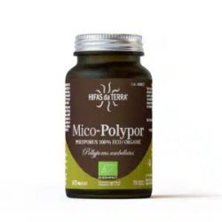 Hdt - Mico-Polypor