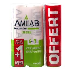 Amilab Offre Lot 21
