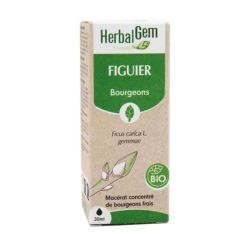 Herbalgem - Gemmo Figuier - 30 Ml