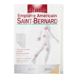 Saint Bernard Emplatre 15X22Cm