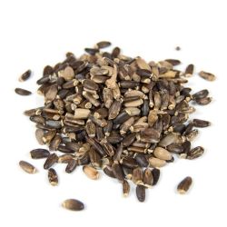 Cailleau - Chardon Marie ( fruit )