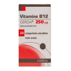 Vit B12 Gerda 250 G Cpr E/24