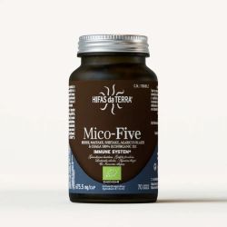 Hdt - Mico-Five