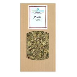 Cailleau - Ortie Piquante (Feuille Coupée )