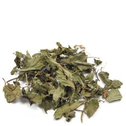 Cailleau - Menthe poivrée ( feuille entière )