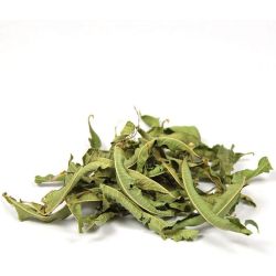 Cailleau - Verveine Odorante ( feuilles)