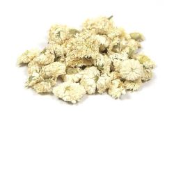 Cailleau - Camomille Romaine ( fleur )