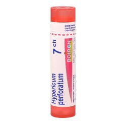 Hypericum Perf. 7Ch Tg Boi