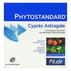 Pileje - Phytostandard - Cypres Astragale
