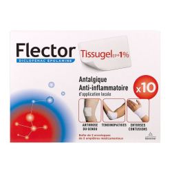 Flectortissugelep 1 Empl Medicam B/10