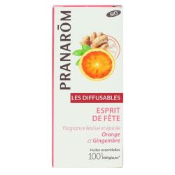 Pranarom - Les Diffusables - Esprit de fête gingembre et cannelle bio -fl 30ml