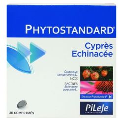 Pileje - Phytostandard - Cypres-Echinacee