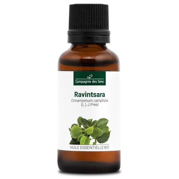 Cds - Ravintsara - Huile Essentielle Bio