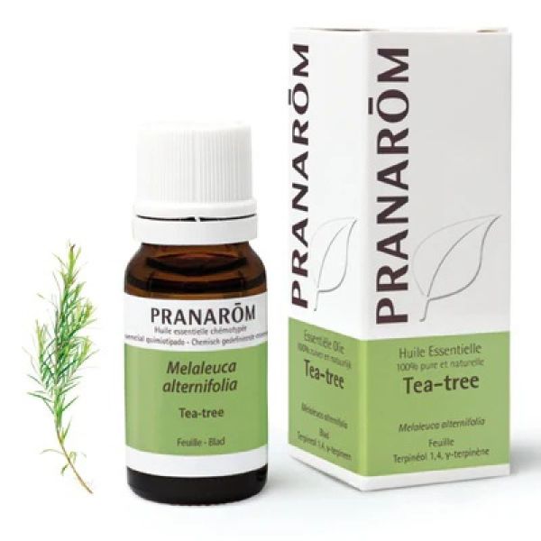 Pranarom - Huile Ess Tea Tree - 10 Ml