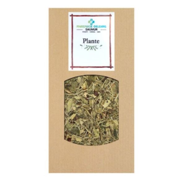 Cailleau - Anis vert (semence, graine)