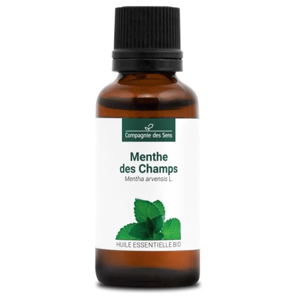 Cds - Menthe Des Champs - He Bio - 30Ml