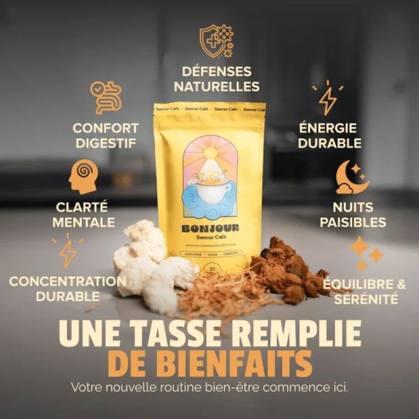 bonjour - saveur cacao - sachet 15 portions - 90gr