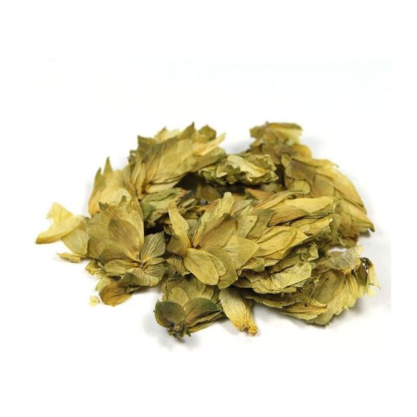 Cailleau - Houblon (cône entier)