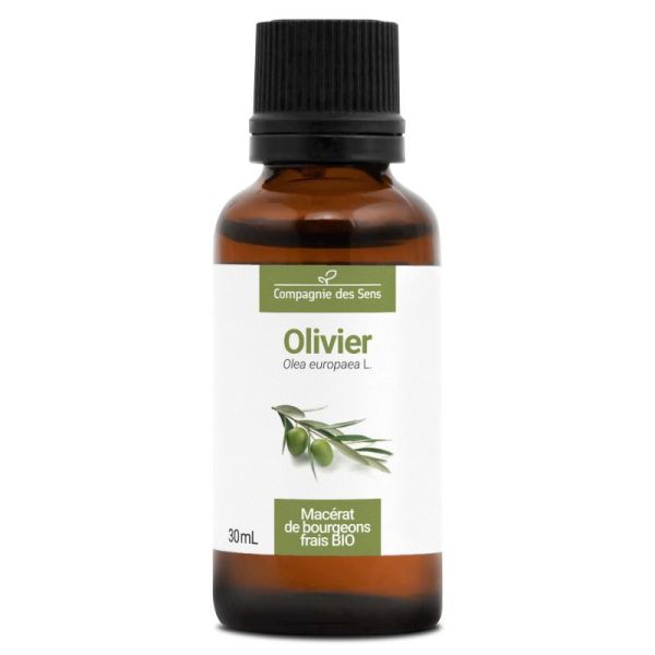 Cds - Macérat Bourgeons Olivier Bio 30Ml