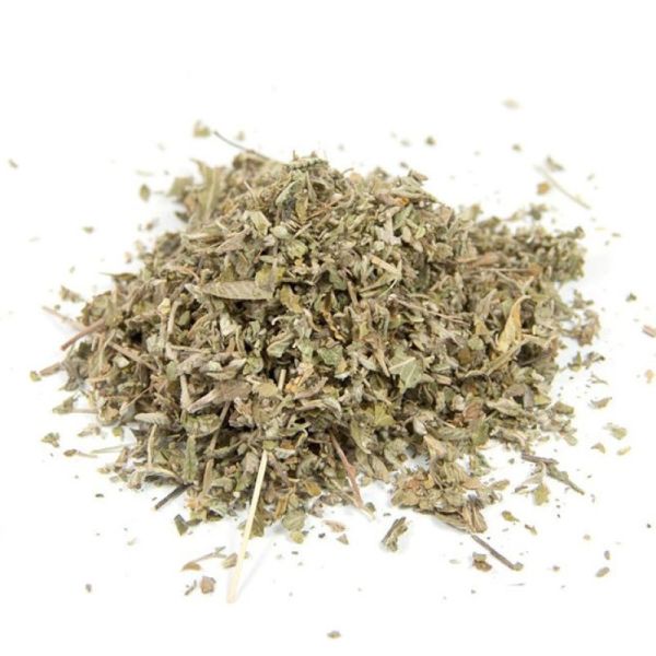 Cailleau - Damiana ( plante coupée)