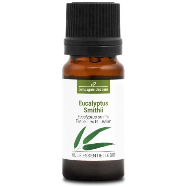 Cds - Eucalyptus Smithii - He Bio - 10Ml