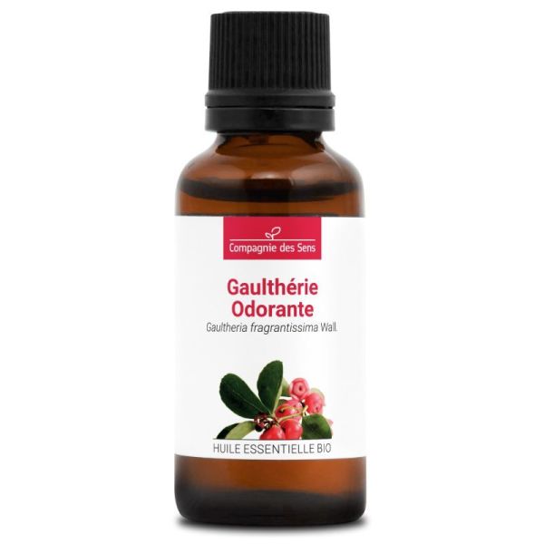 Cds - Gaultherie Odorante - He Bio - 30Ml
