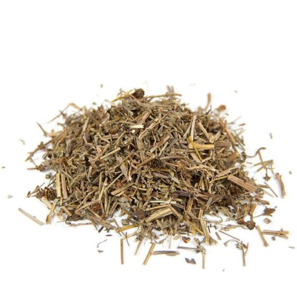 Cailleau - Chrysanthellum ( plante coupée)