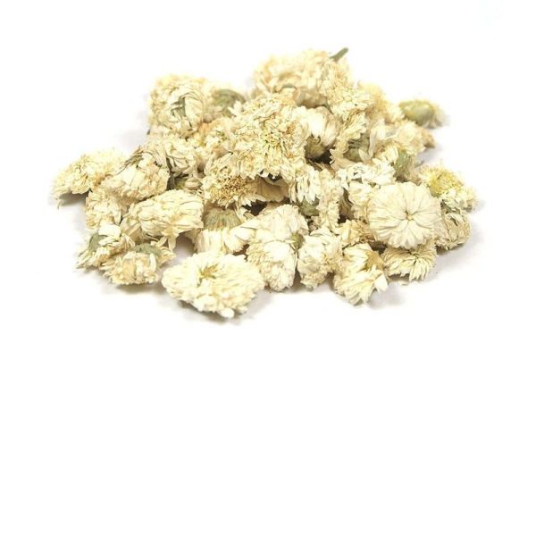 Cailleau - Camomille Romaine ( fleur )