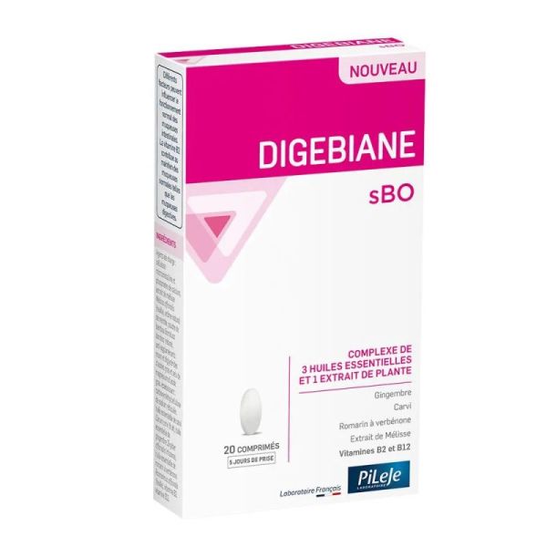 Pileje - Digebiane Sbo Cpr20
